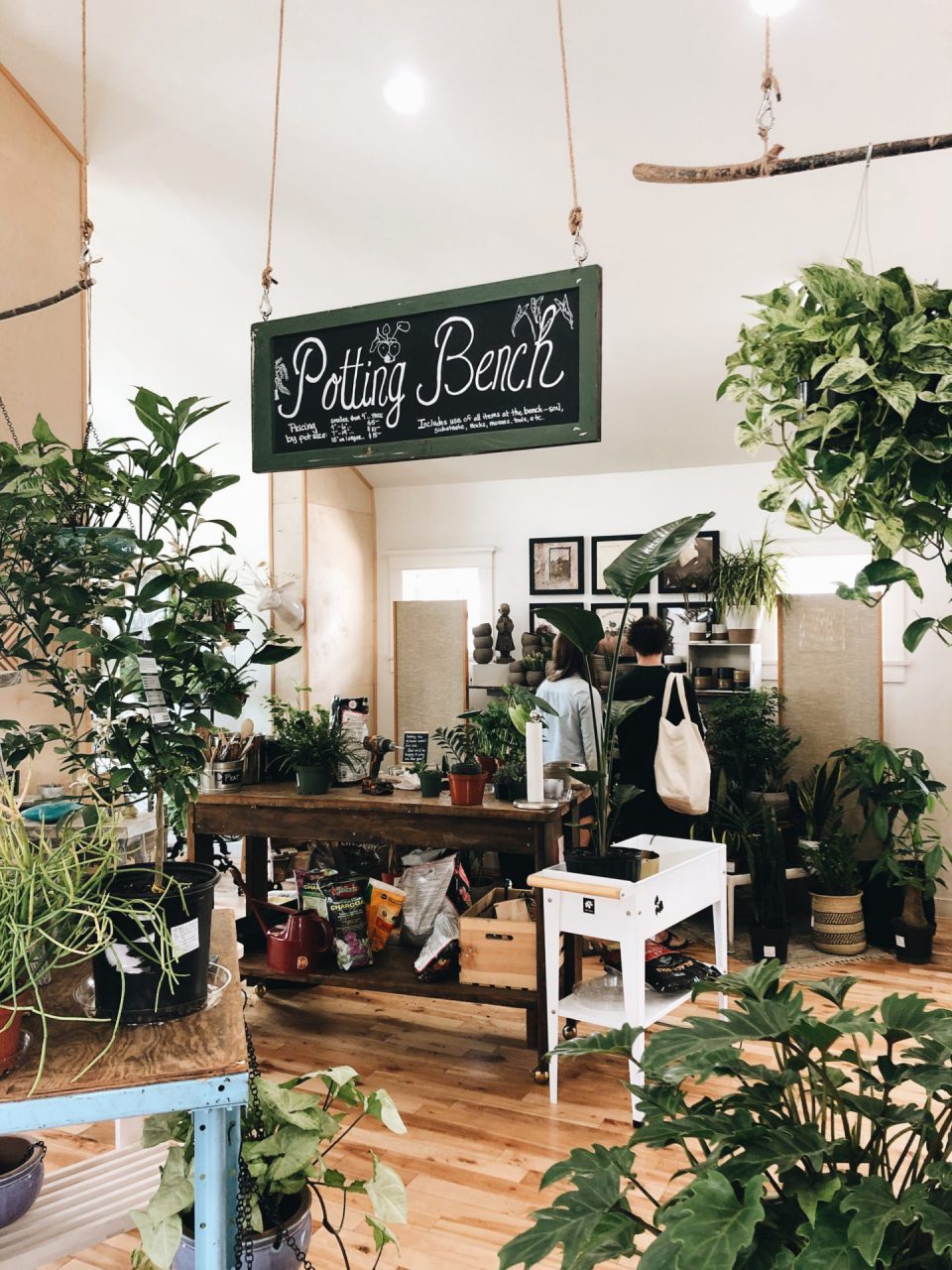 Thyme and Place, a plant store located on 9th south in Salt Lake City, Utah