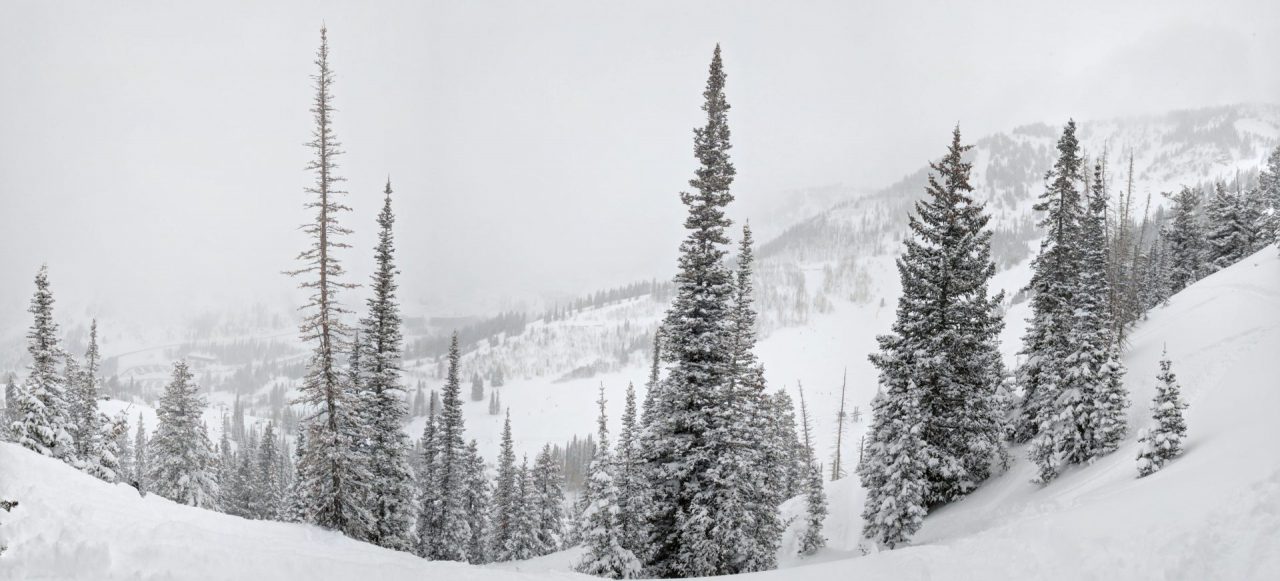 Little Cottonwood Canyon, view from Snowbird