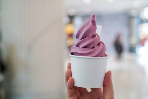 Fresh frozen yogurt from Yagoot store! Alternative to Ice Cream in Salt Lake!