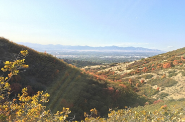 Corner Canyon Mountain Bike Trail