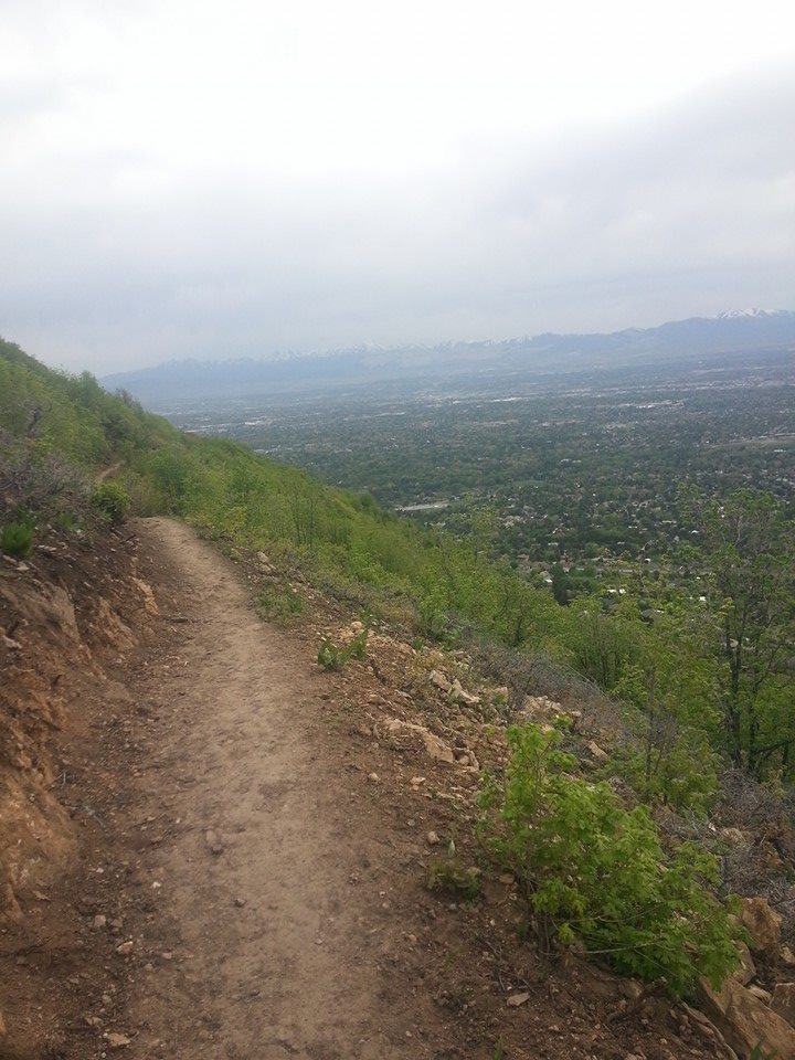 Mountain Biking in Utah