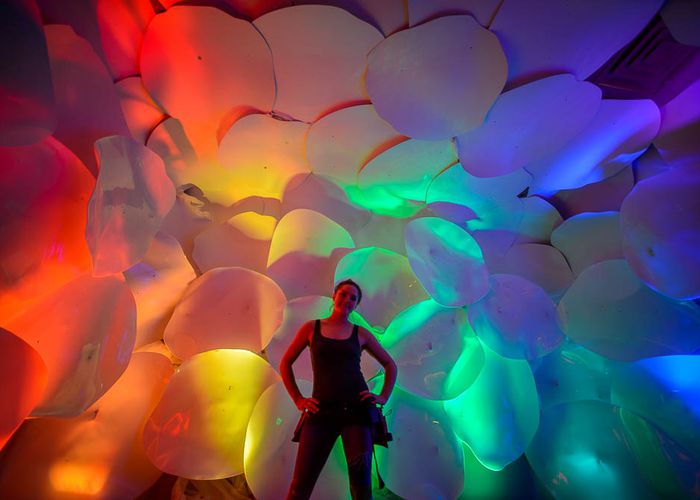Dreamscapes light and color show