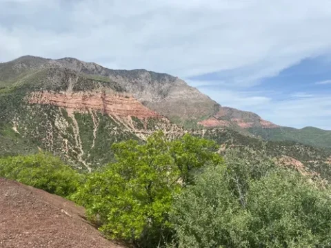 Red rock cliffs and green forests along the Pine Mountain OHV Loop in southern Utah under a partly cloudy sky.