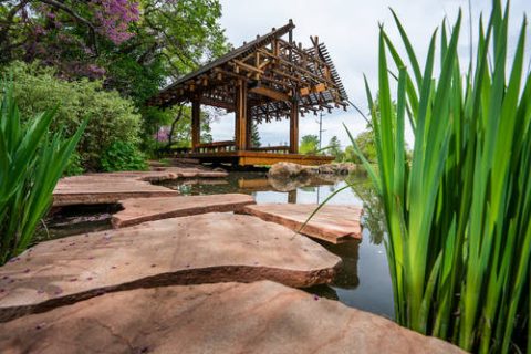 Pond in Garden 