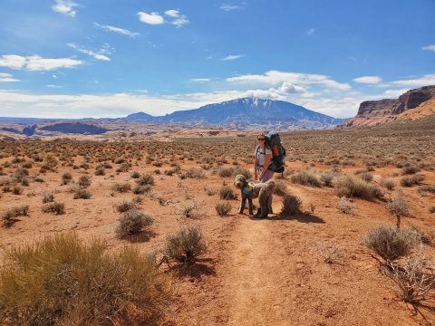 Reflection Canyon Trail with hikers and a dog