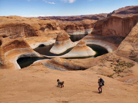 Arial view of Reflection Canyon with a hiker and a dog
