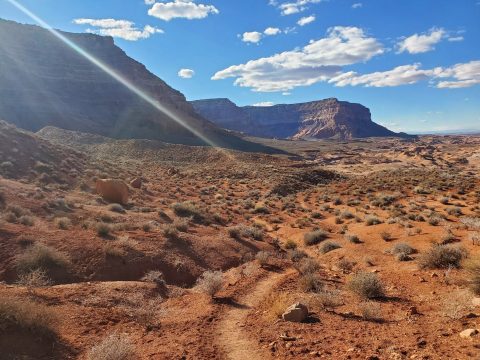 Beginning of Reflection Canyon Trail