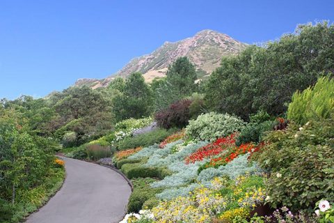 Floral Walk