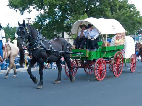 parade wagon days of 47 festival