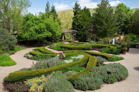 Garden in Red Butte