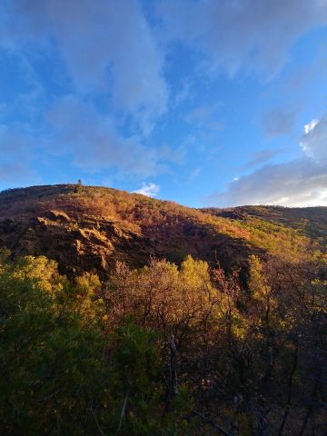 A photo of a hill with trees in the foreground, and a bright blue sky overhead.