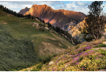 Little Cottonwood Canyon