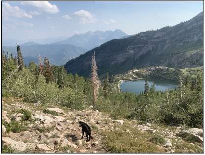 American Fork Canyon