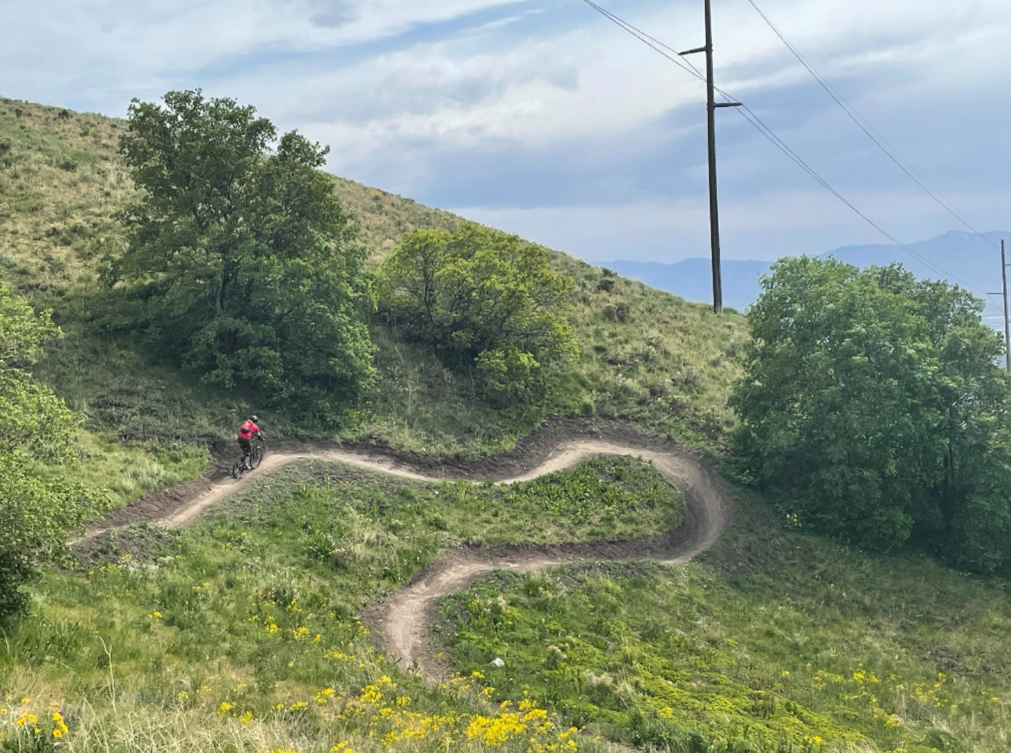Mountain biker riding down Drycreek/19th Avenue single track trail (Salt Lake City, UT)