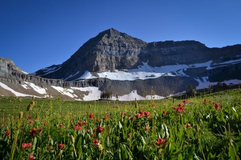 Timpanogos Basin Campsite Views