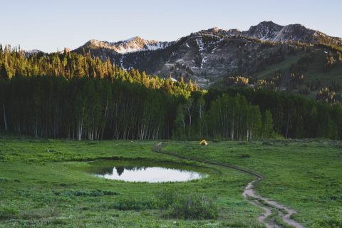 Willow Lake Campsite Views