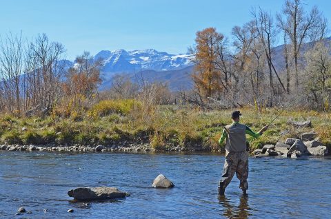 Fly fisherman wading in the Middle Provo River.