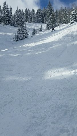 An empty, snow-covered run at Beaver Mountain, near Bear Lake, after a snow storm. 