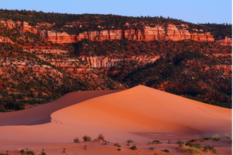 Coral Pink Sand Dunes State Park Campground 