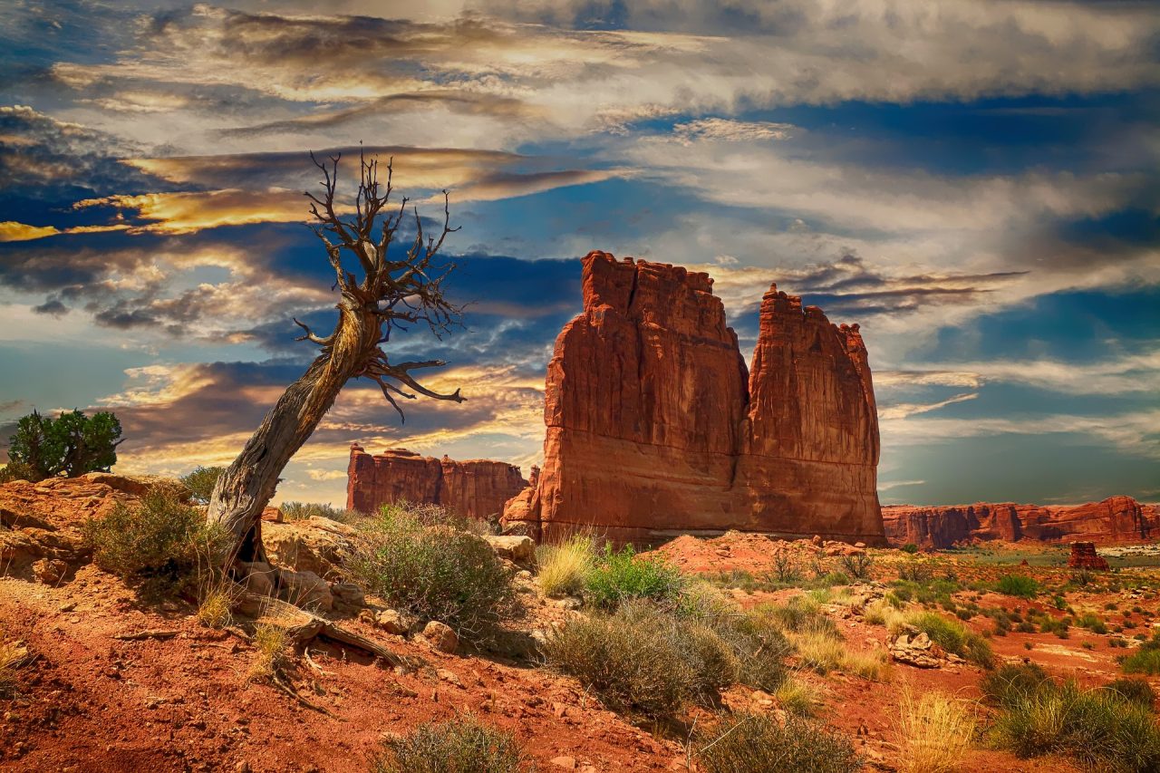 Sunset over Bryce Canyon National Park with large rock formation in the distance, and a lone tree in the forefront.
