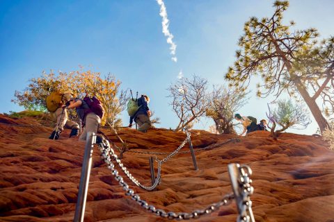 People Climbing along a chained fence at Angles Landing Hike