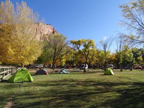 colorful trees with camping tents laid in green grass and clear blue skies