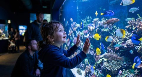 Child exploring an aquarium exhibit — one of the best indoor family activities in Salt Lake City