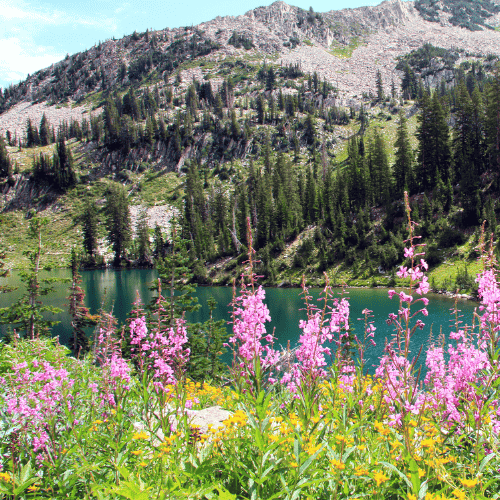 Red Pine Lake
