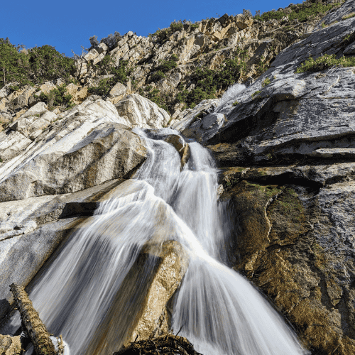 Lisa Falls